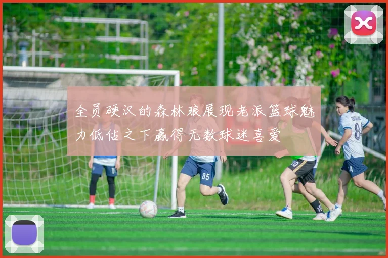 全员硬汉的森林狼展现老派篮球魅力低估之下赢得无数球迷喜爱