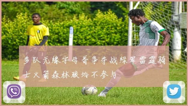 多队无缘字母哥争夺战绿军雷霆骑士火箭森林狼均不参与